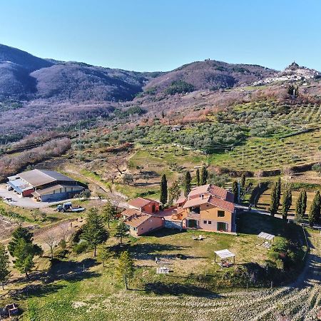 Az.Agr. Il Cavalleggero Campiglia dʼOrcia المظهر الخارجي الصورة