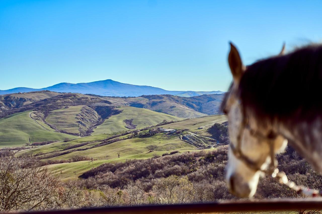 Az.Agr. Il Cavalleggero Campiglia dʼOrcia المظهر الخارجي الصورة