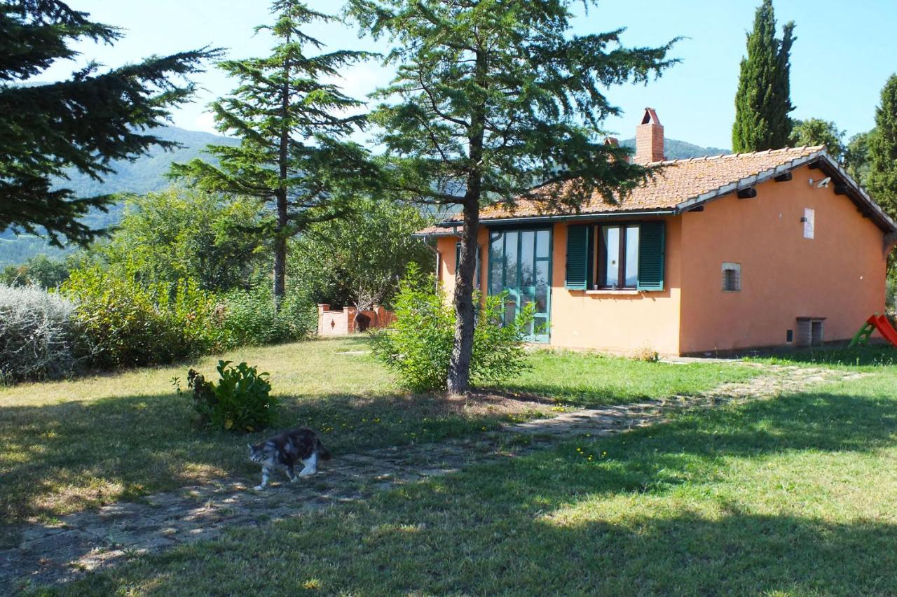 Az.Agr. Il Cavalleggero Campiglia dʼOrcia المظهر الخارجي الصورة