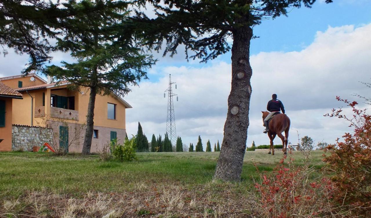 Az.Agr. Il Cavalleggero Campiglia dʼOrcia المظهر الخارجي الصورة