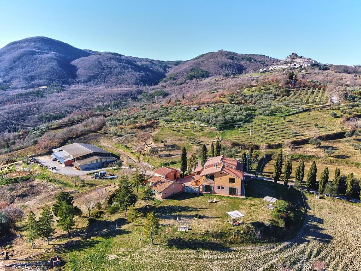 Az.Agr. Il Cavalleggero Campiglia dʼOrcia المظهر الخارجي الصورة
