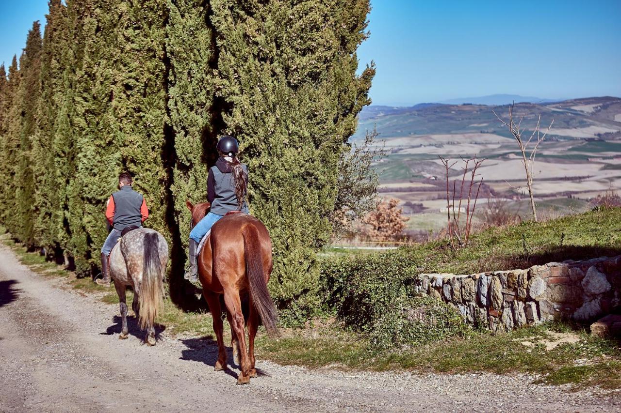 Az.Agr. Il Cavalleggero Campiglia dʼOrcia المظهر الخارجي الصورة